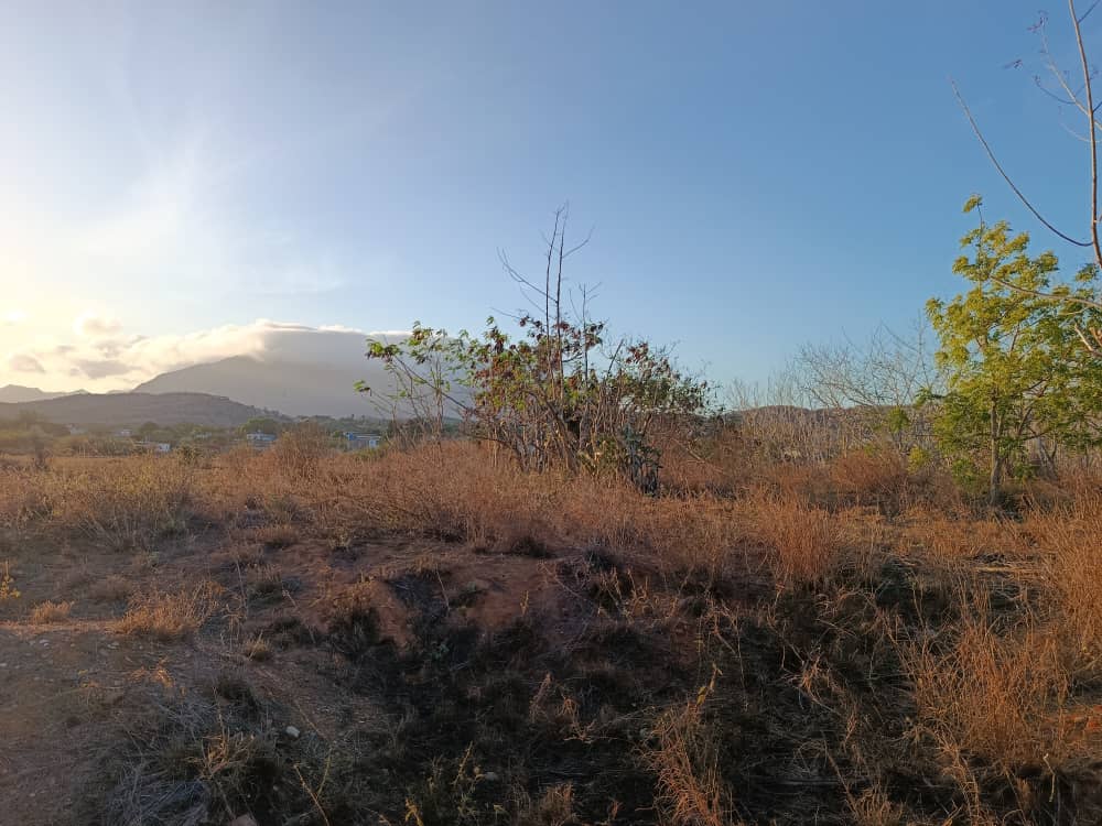 Terreno, En Venta, En El Boqueron, Campiare, Entrada de San Lorenzo, Nueva Esparta, Isla de Margarita, 464 mt2 - Imagen 11