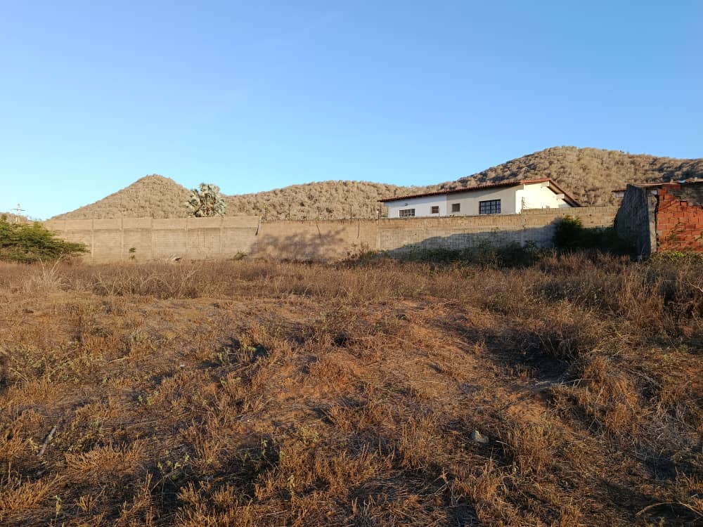 Terreno, En Venta, En El Boqueron, Campiare, Entrada de San Lorenzo, Nueva Esparta, Isla de Margarita, 464 mt2 - Imagen 12