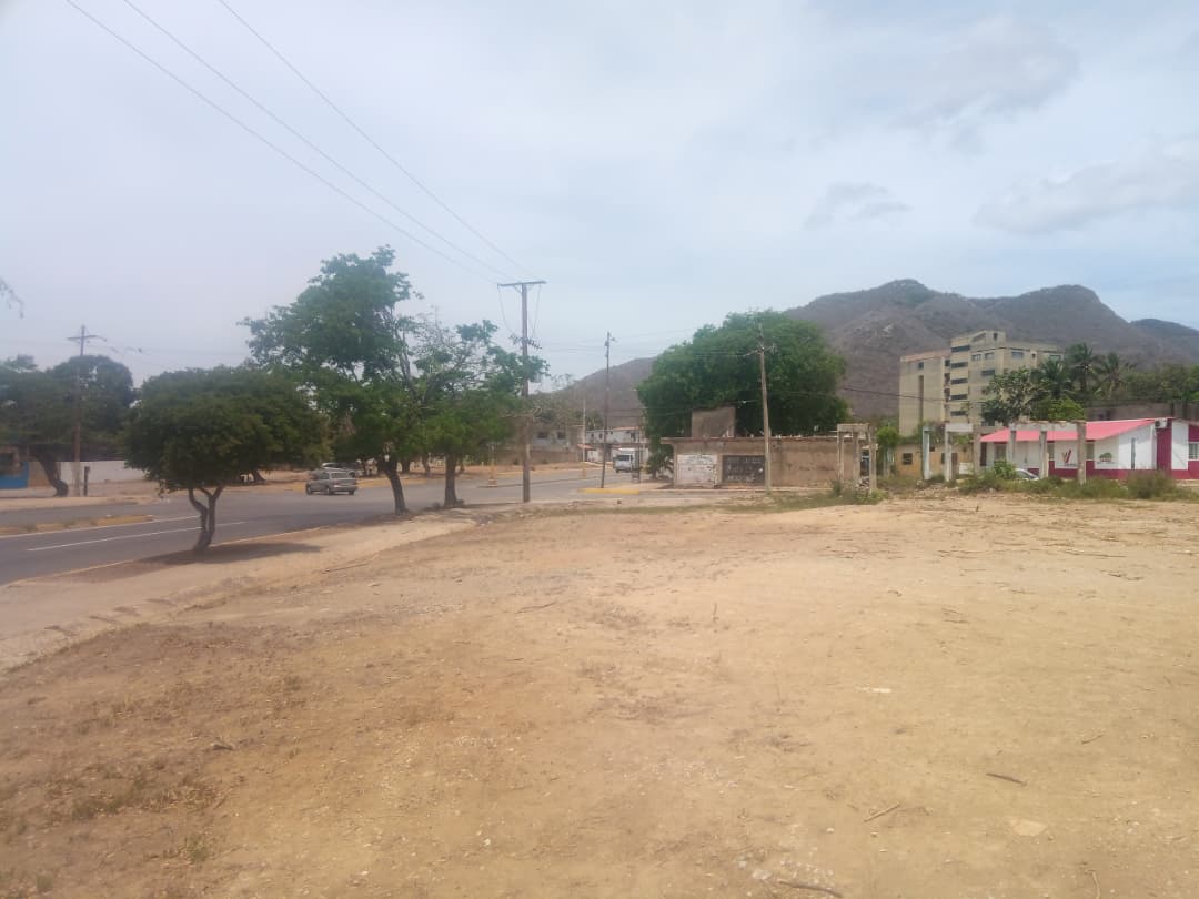 Terreno, En Venta, En Avenida Francisco Fajardo, Via El Valle, Nueva Esparta, Isla de Margarita, 1012 mt2 - Imagen 2