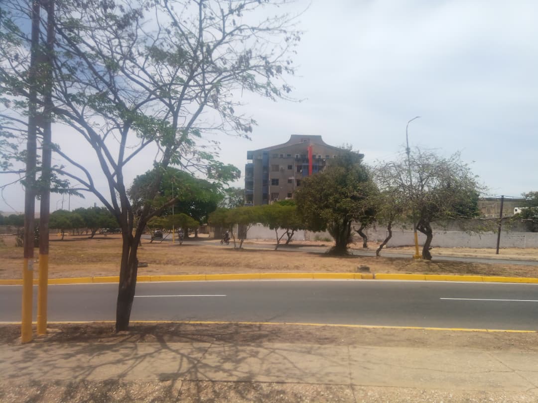Terreno, En Venta, En Avenida Francisco Fajardo, Via El Valle, Nueva Esparta, Isla de Margarita, 1012 mt2 - Imagen 4