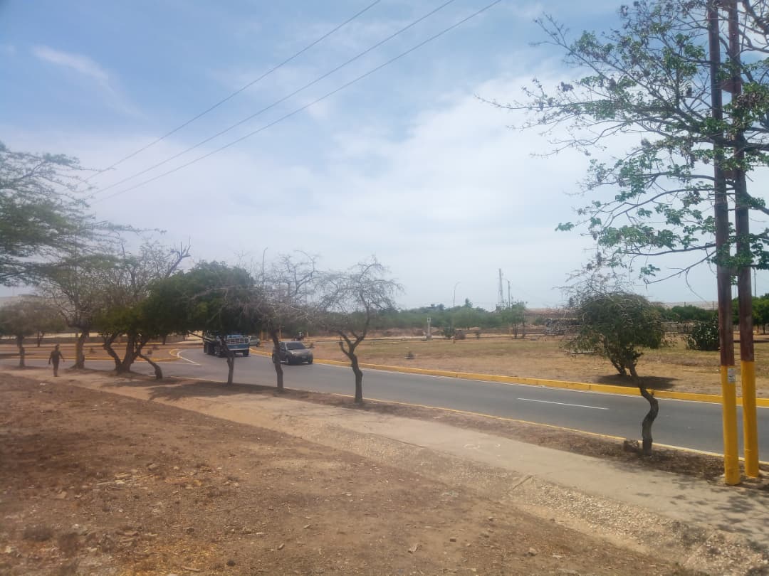 Terreno, En Venta, En Avenida Francisco Fajardo, Via El Valle, Nueva Esparta, Isla de Margarita, 1012 mt2 - Imagen 6