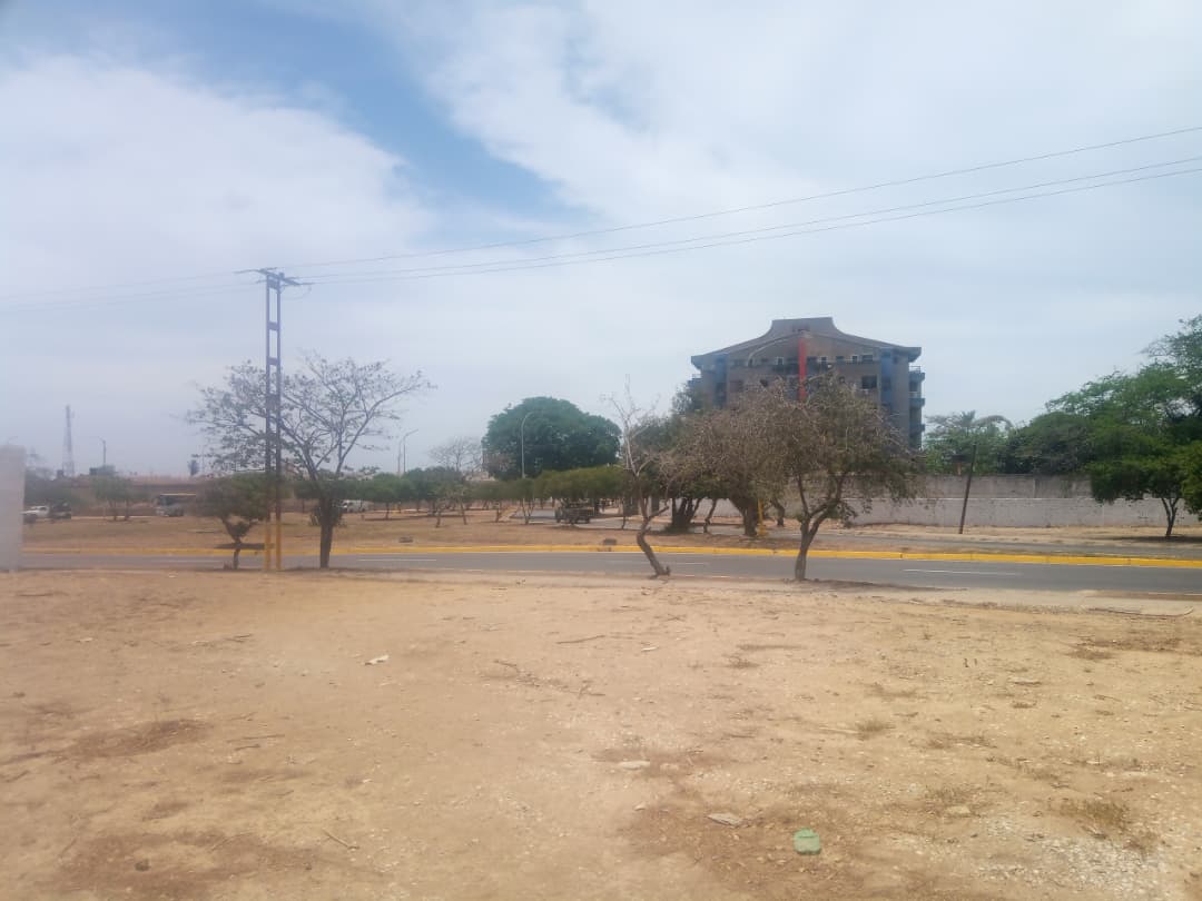 Terreno, En Venta, En Avenida Francisco Fajardo, Via El Valle, Nueva Esparta, Isla de Margarita, 1012 mt2 - Imagen 7