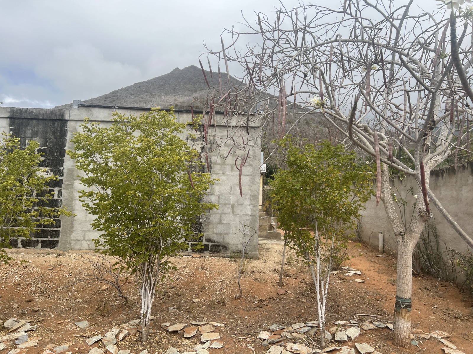 Casa, En Venta, En Guacuco, Nueva Esparta, Isla de Margarita, 394,70 mt2, 3 Habitaciones y 2 Baños - Imagen 4