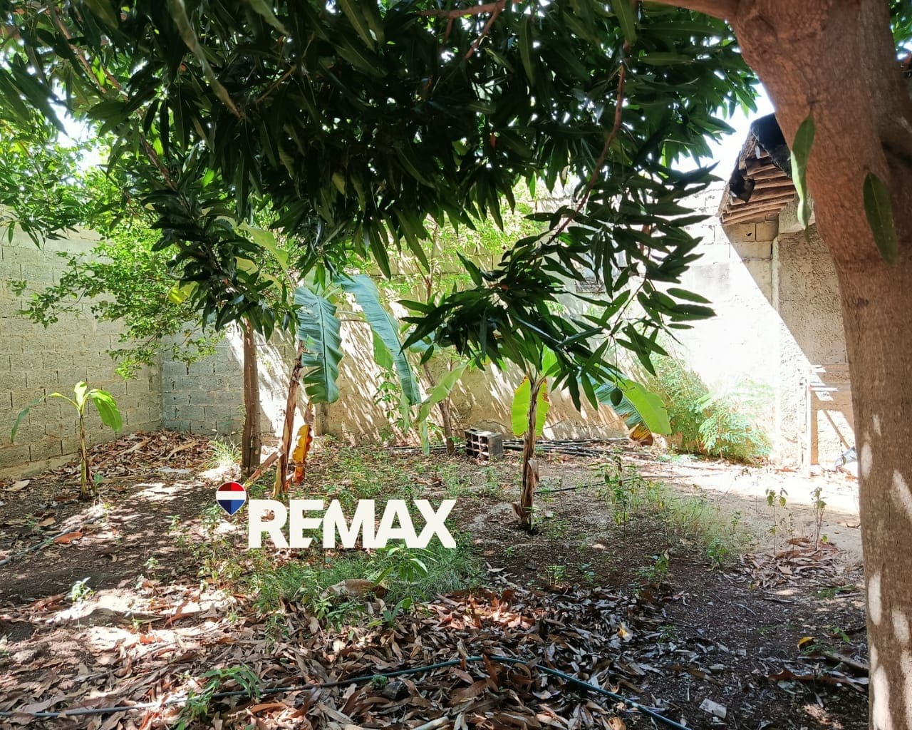 Terreno con Local, En Venta, En San Antonio Sur, Nueva Esparta, Isla de Margarita, 720 mt2 - Imagen 4