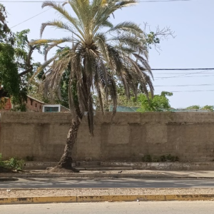 Terreno, En Venta, En Avenida Terranova, Nueva Esparta, Isla de Margarita, 792 mt2