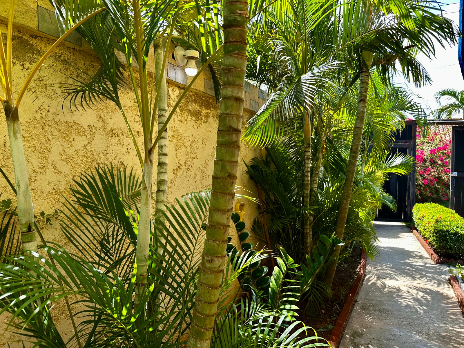 Townhouse, En Venta, En Conjunto Residencial Beach Blue, Nueva Esparta, Isla de Margarita, 106 mt2, 3 Hab y 3 Baños - Imagen 33