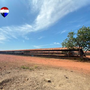 Granja Con Amplio Terreno En Guayacan Norte, Municipio Tubores, Isla De Margarita, Estado Nueva Esparta