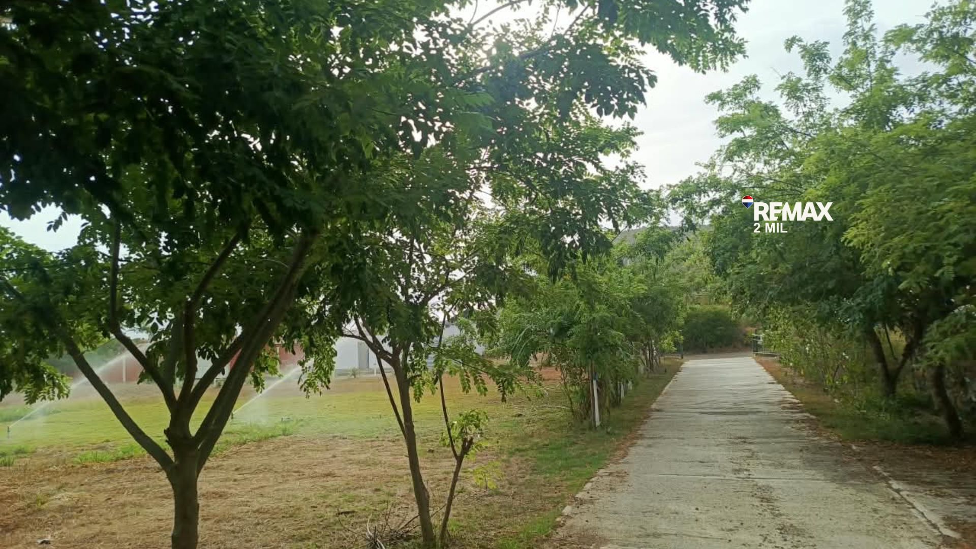 Remax2mil Vende Terreno Sector Manantial Del Cardon, Municipio Antolin Del Campo , Isla De Margarita, Estado Nueva Esparta - Imagen 12