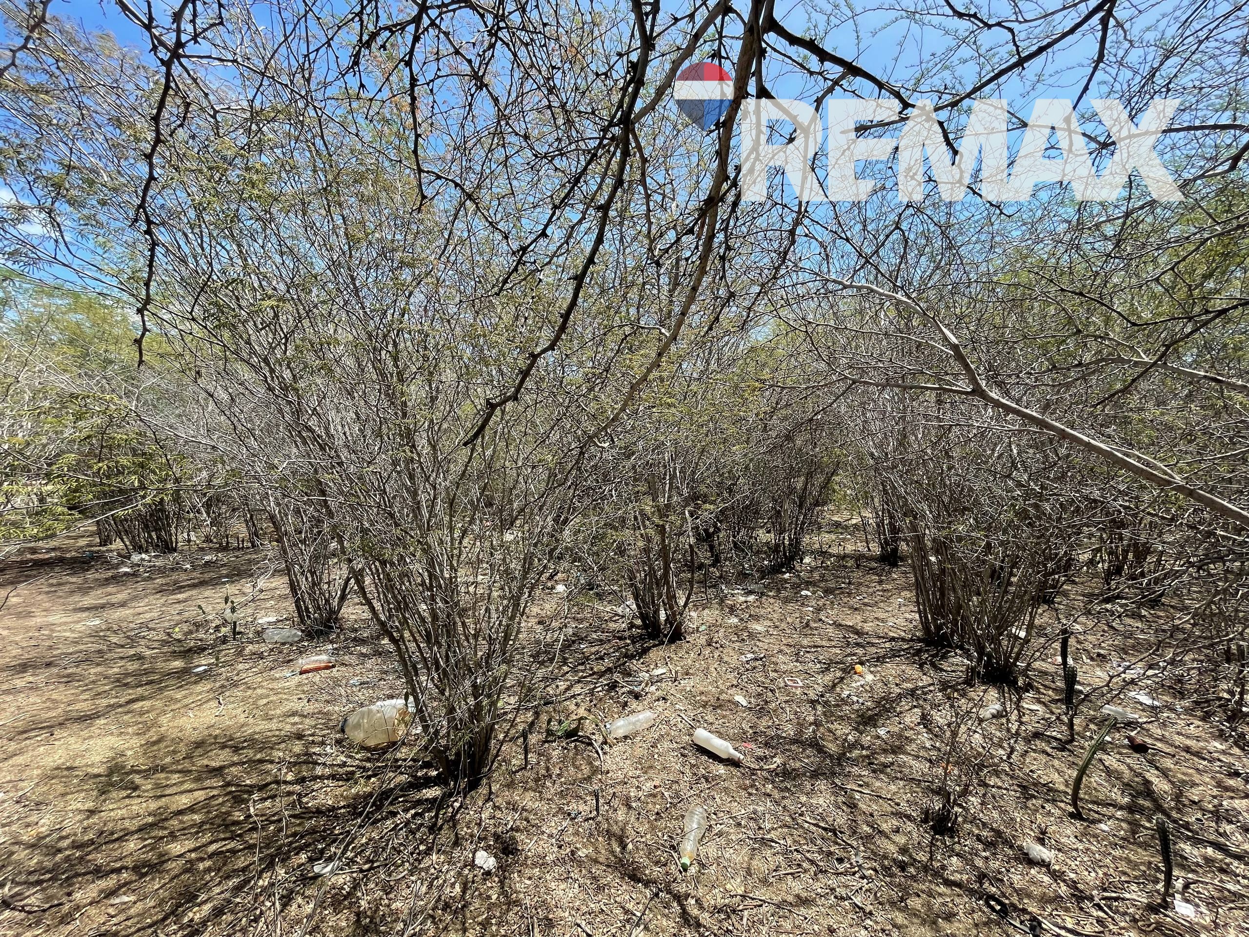 Remax2mil Vende Terreno En Los Bagres, Municipio Diaz, Isla De Margarita, Estado Nueva Esparta - Imagen 15