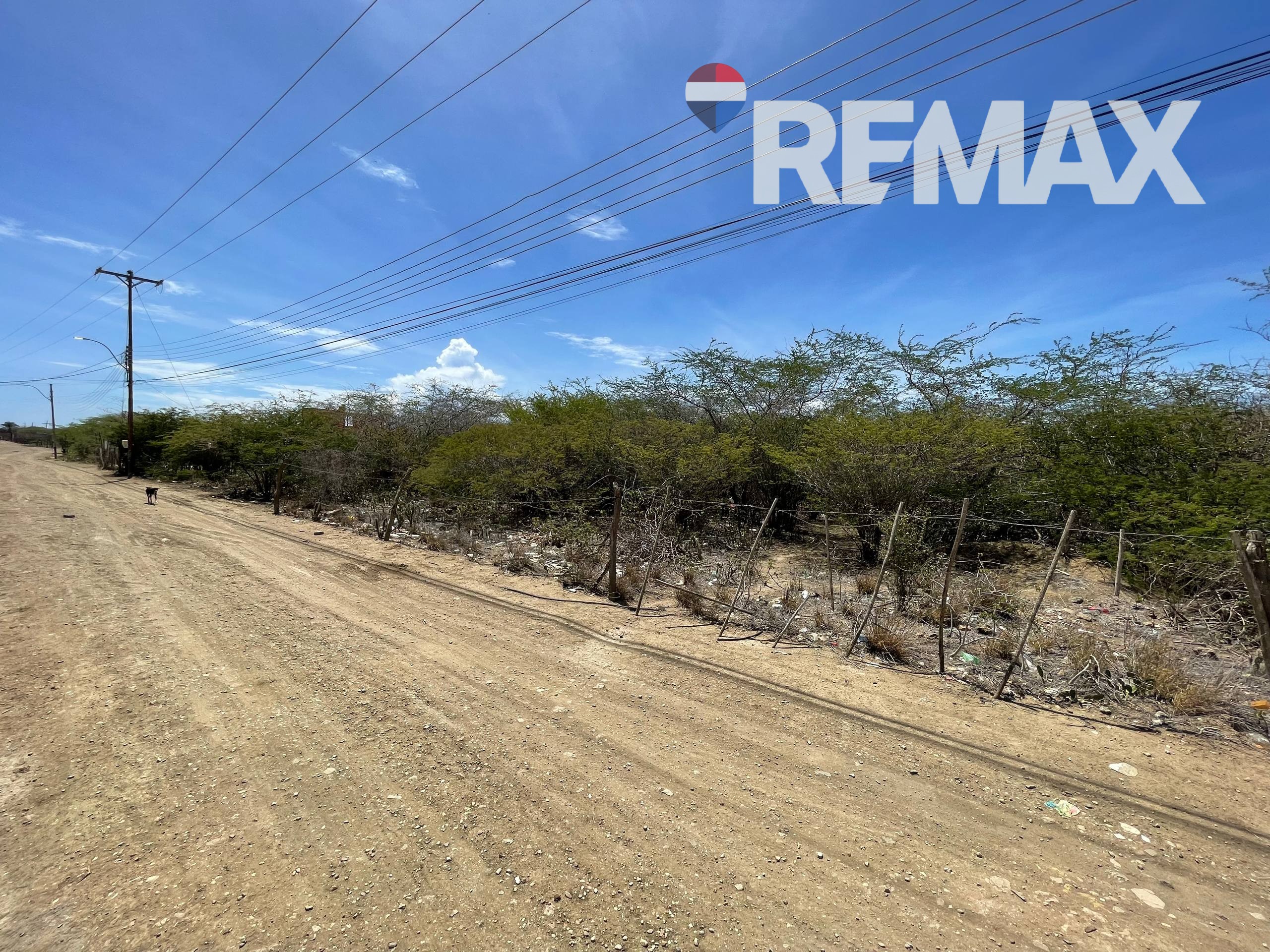 Remax2mil Vende Terreno En Los Bagres, Municipio Diaz, Isla De Margarita, Estado Nueva Esparta - Imagen 12