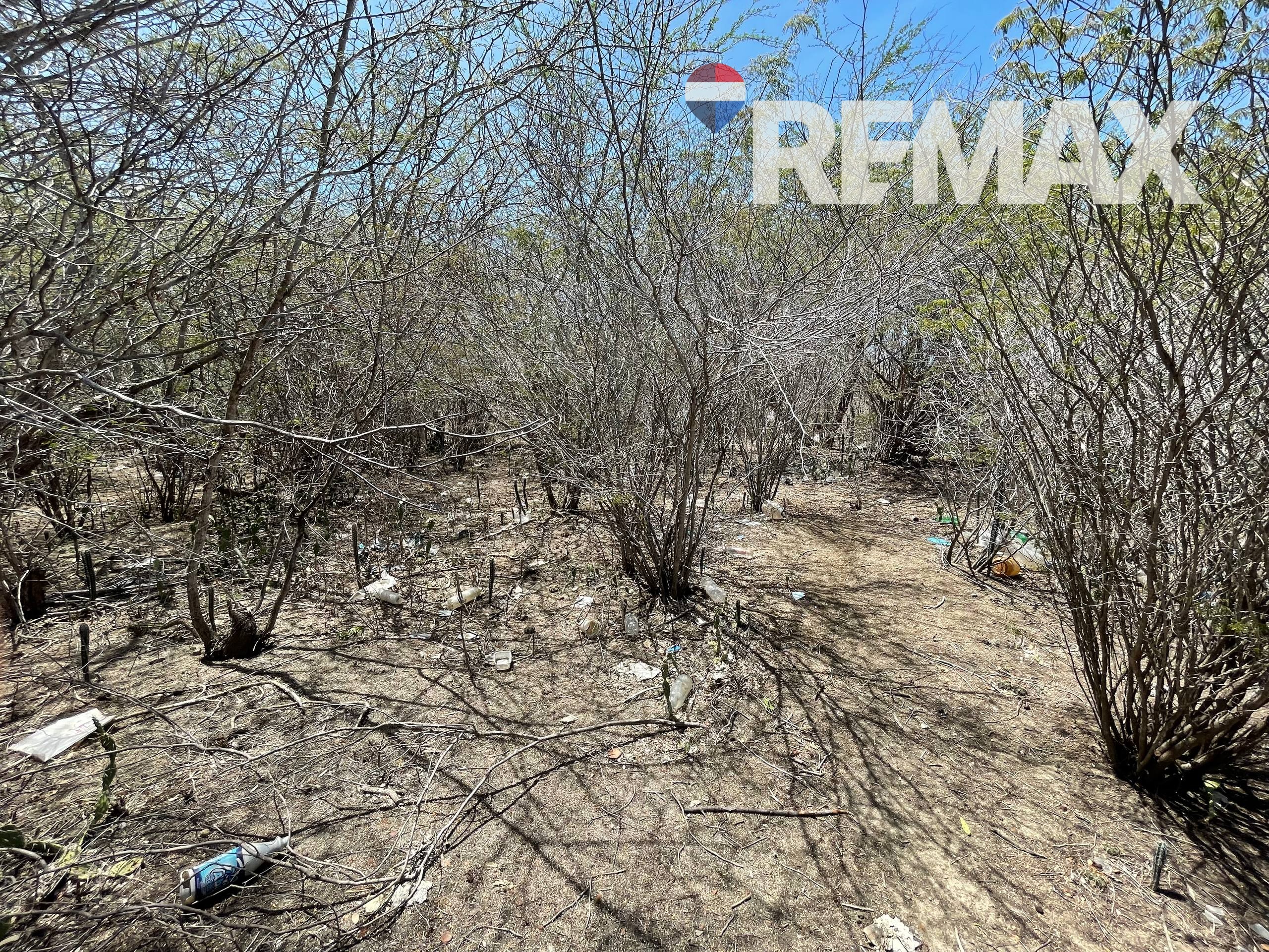 Remax2mil Vende Terreno En Los Bagres, Municipio Diaz, Isla De Margarita, Estado Nueva Esparta - Imagen 14