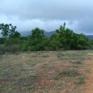 Remax2mil Vende Terreno En Pozo De Agua, Municipio Antolin Del Campo, Isla De Margarita, Estado Nueva Esparta