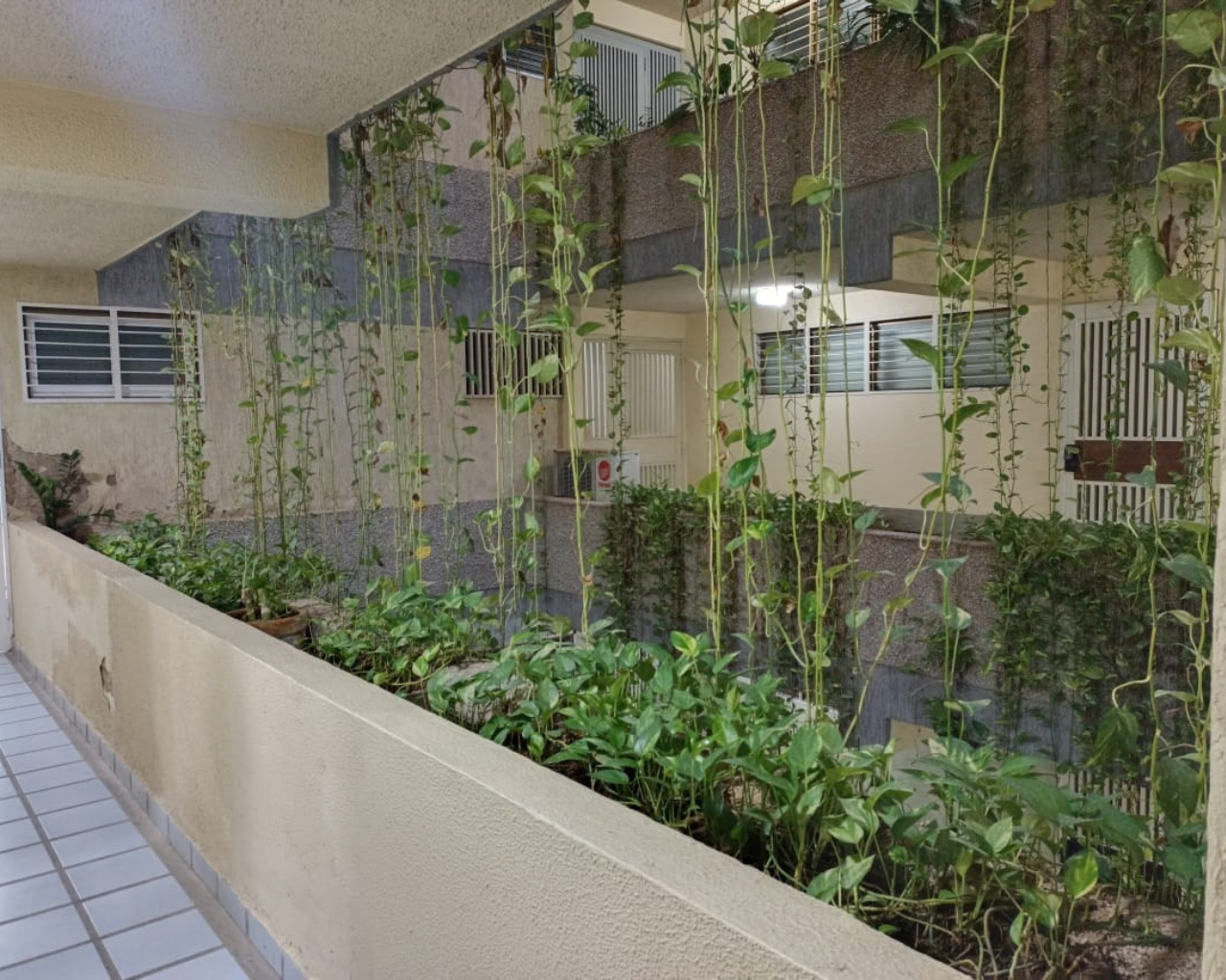 Remax2mil Alquila Apartamento En Resd. Los Geranios, Municipio Maneiro, Isla De Margarita, Estado Nueva Esparta - Imagen 14