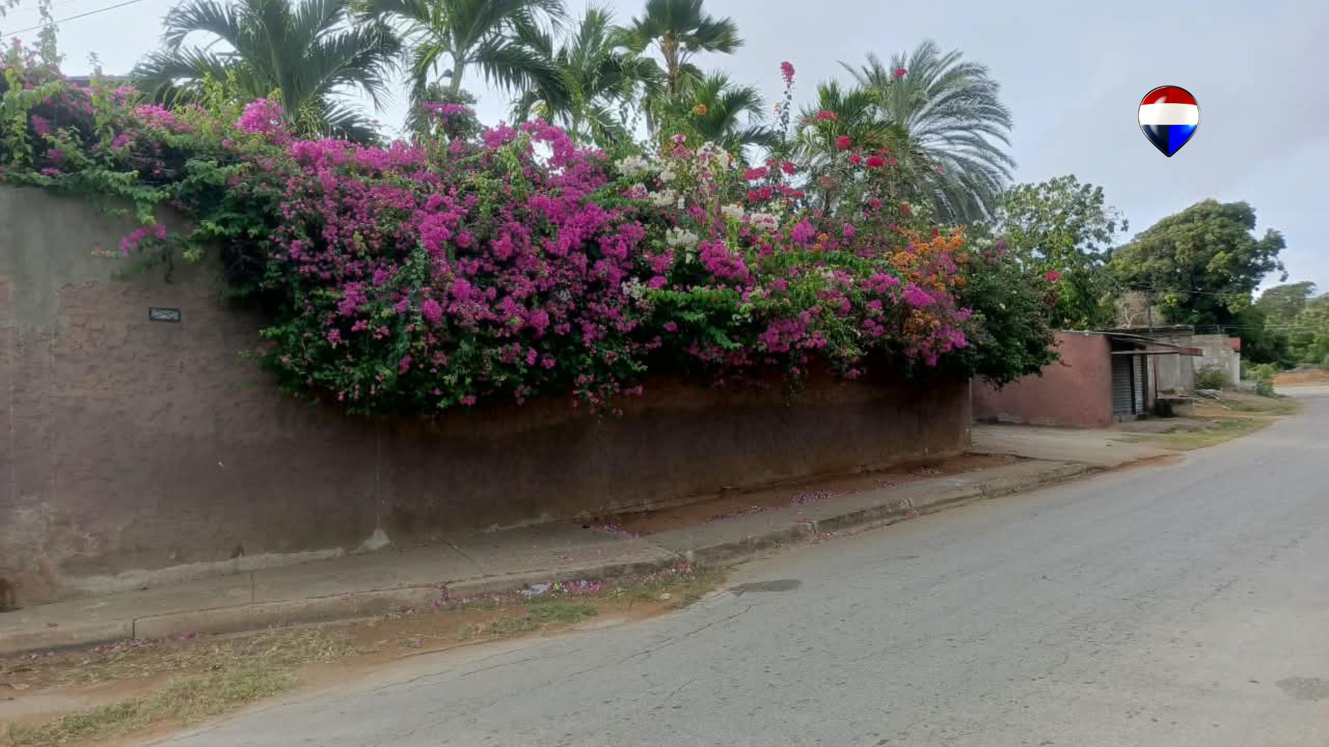 Remax2mil Vende Terreno En Pozo De Agua, Municipio Antolin Del Campo, Isla De Margarita, Estado Nueva Esparta - Imagen 3