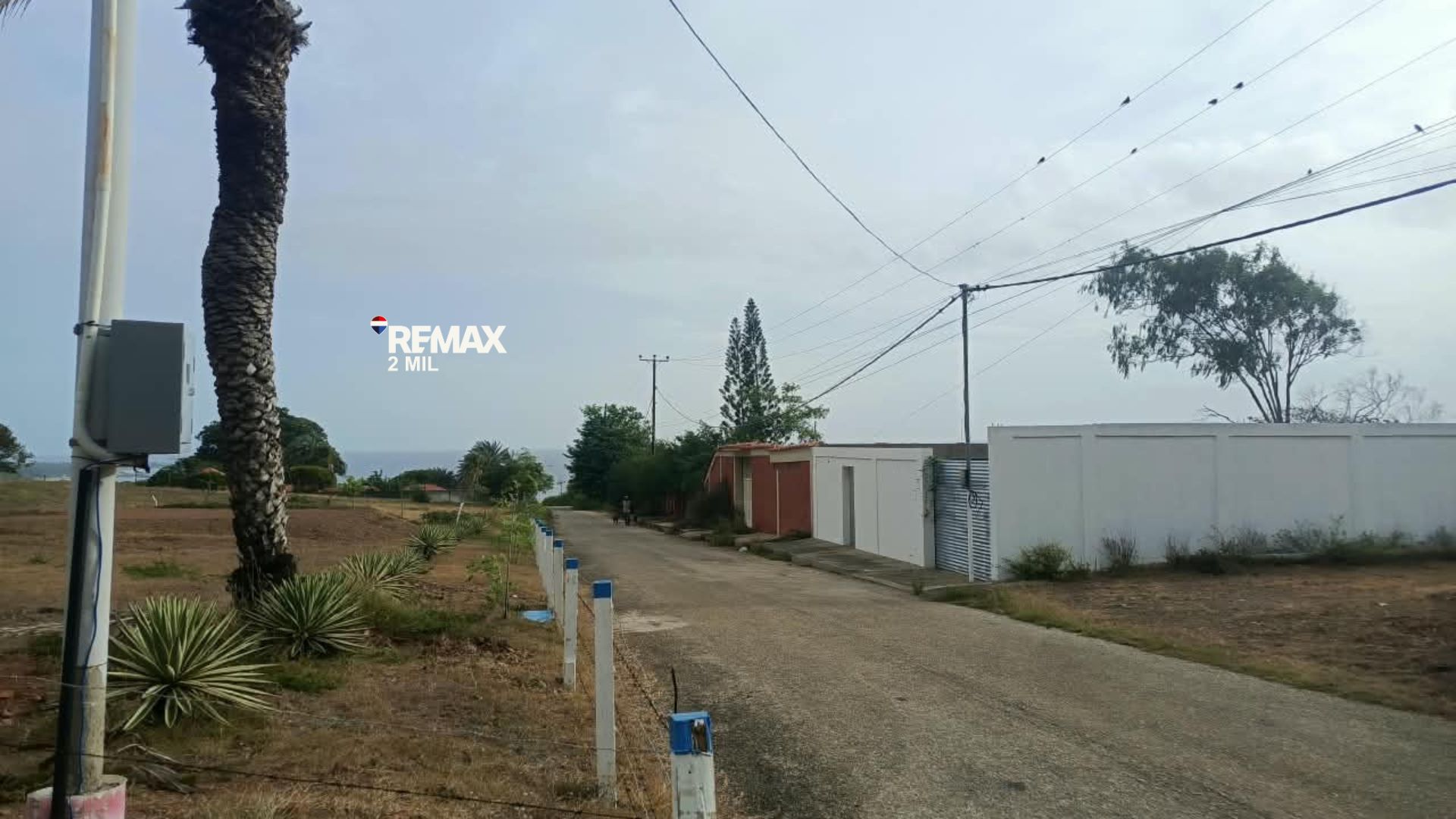 Remax2mil Vende Terreno Sector Manantial Del Cardon, Municipio Antolin Del Campo , Isla De Margarita, Estado Nueva Esparta - Imagen 10