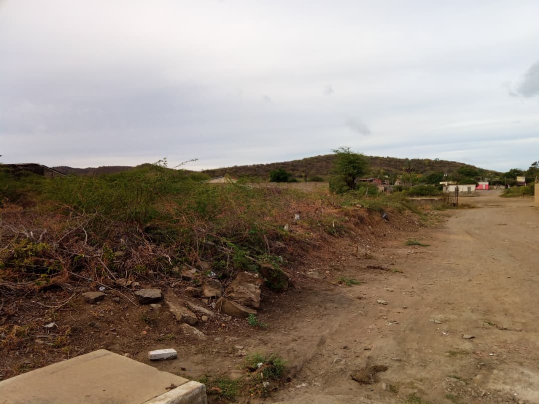 Remax2mil Vende Terreno.ubicado En La Calle Pricipal De Altagracia. Municipio Gomez, Isla De Margarita, Estado Nueva Esparta - Imagen 3