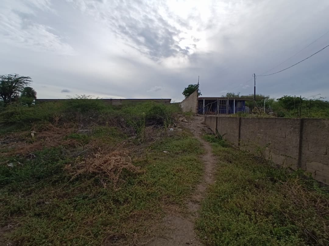 Remax2mil Vende Terreno.ubicado En La Calle Pricipal De Altagracia. Municipio Gomez, Isla De Margarita, Estado Nueva Esparta - Imagen 5