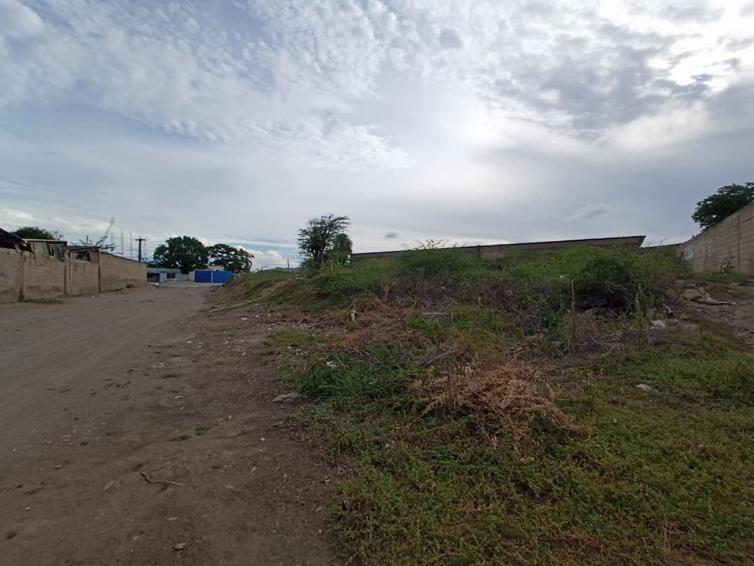 Remax2mil Vende Terreno.ubicado En La Calle Pricipal De Altagracia. Municipio Gomez, Isla De Margarita, Estado Nueva Esparta - Imagen 6