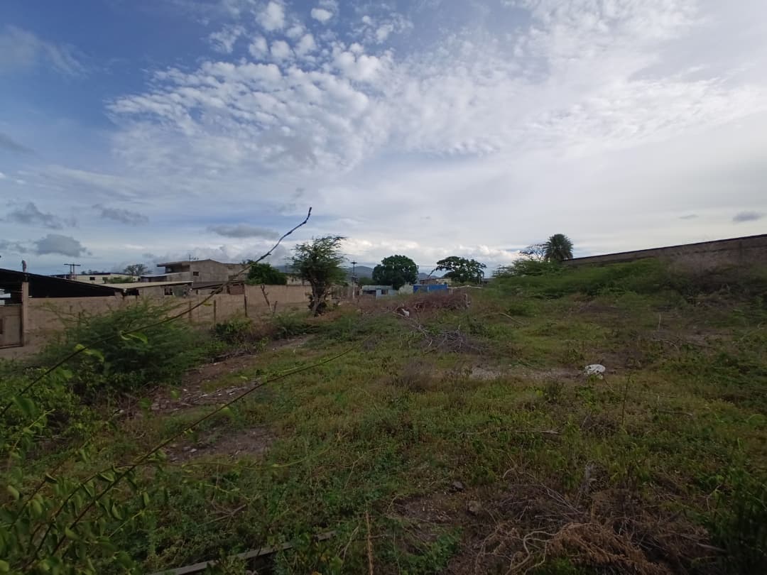 Remax2mil Vende Terreno.ubicado En La Calle Pricipal De Altagracia. Municipio Gomez, Isla De Margarita, Estado Nueva Esparta - Imagen 7