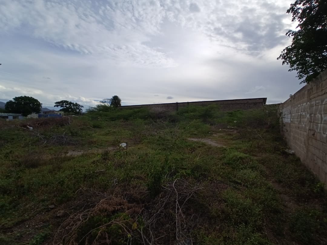 Remax2mil Vende Terreno.ubicado En La Calle Pricipal De Altagracia. Municipio Gomez, Isla De Margarita, Estado Nueva Esparta - Imagen 8