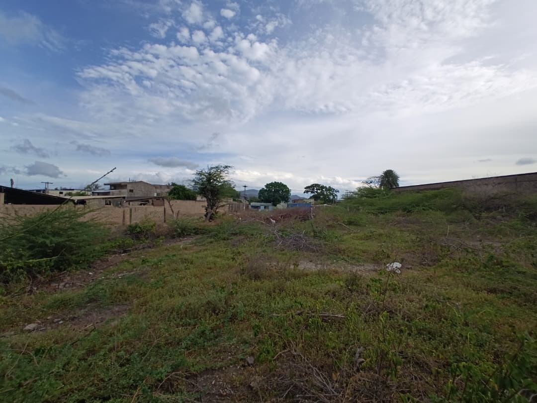 Remax2mil Vende Terreno.ubicado En La Calle Pricipal De Altagracia. Municipio Gomez, Isla De Margarita, Estado Nueva Esparta - Imagen 9