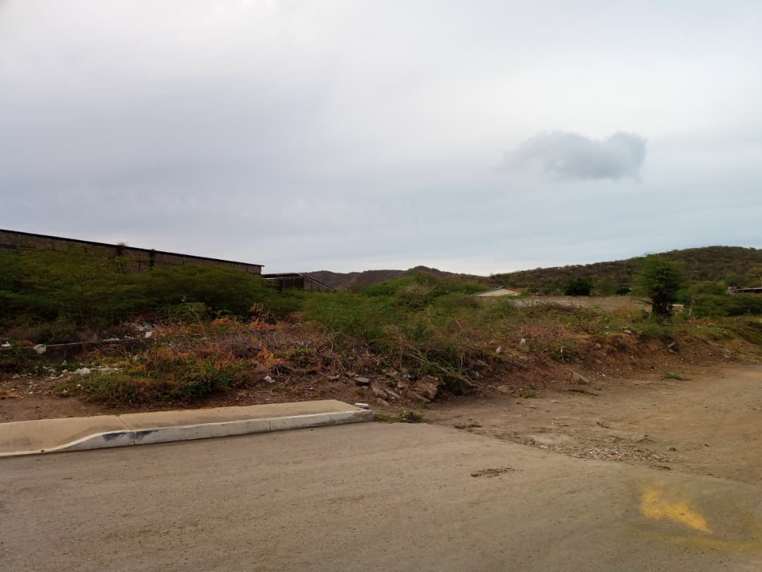 Remax2mil Vende Terreno.ubicado En La Calle Pricipal De Altagracia. Municipio Gomez, Isla De Margarita, Estado Nueva Esparta - Imagen 17
